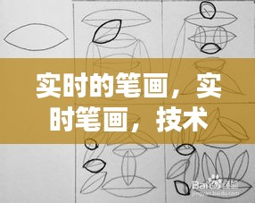 技术与艺术的融合之美，实时笔画展现动态之美