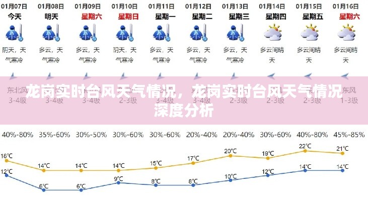 龙岗实时台风天气深度分析与实时更新报告