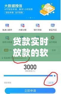 贷款实时放款软件，领跑便捷金融服务的首选