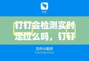 钉钉实时定位检测功能解析，企业通讯工具的定位功能与隐私保护探究