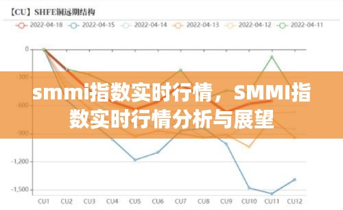 SMMI指数实时行情分析与展望，最新动态及市场预测