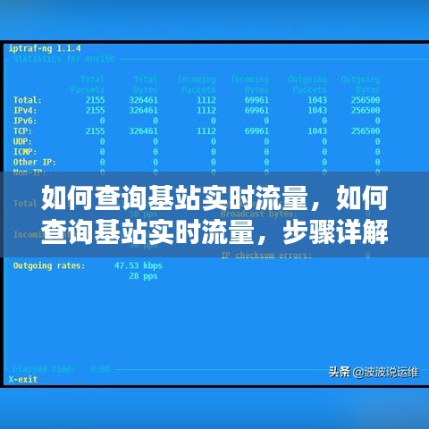 基站实时流量查询步骤详解与操作指南，从入门到精通的查询教程