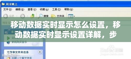 移动数据实时显示设置详解，步骤、方法与应用全解析