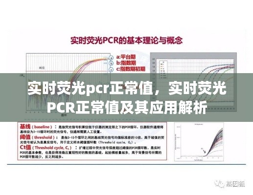 实时荧光PCR正常值及其应用解析详解