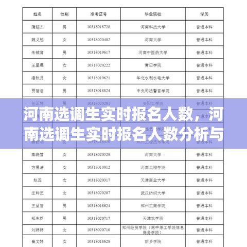 河南选调生实时报名人数分析与观察，报名趋势及洞察