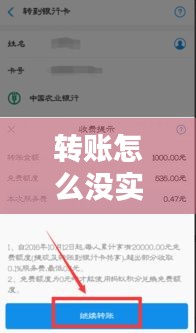 转账未实时到账的疑惑解析，原因与解决方案