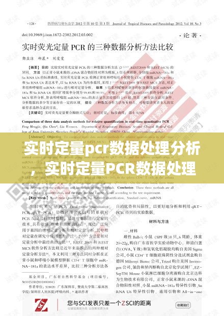 实时定量PCR数据处理分析全面指南，从实验到结果解读的实用手册