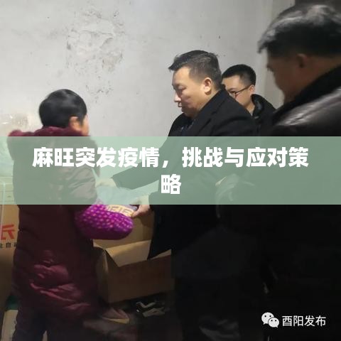 麻旺突发疫情，挑战与应对策略