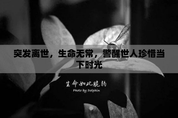 突发离世，生命无常，警醒世人珍惜当下时光