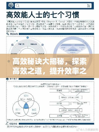 高效秘诀大揭秘，探索高效之道，提升效率之巅