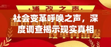 社会变革呼唤之声，深度调查揭示现实真相