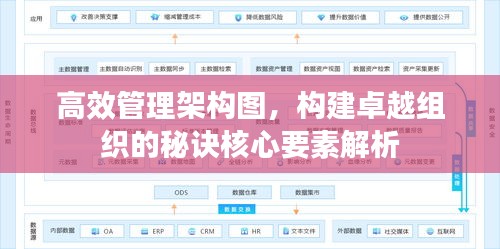 高效管理架构图，构建卓越组织的秘诀核心要素解析