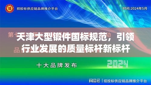 天津大型锻件国标规范，引领行业发展的质量标杆新标杆