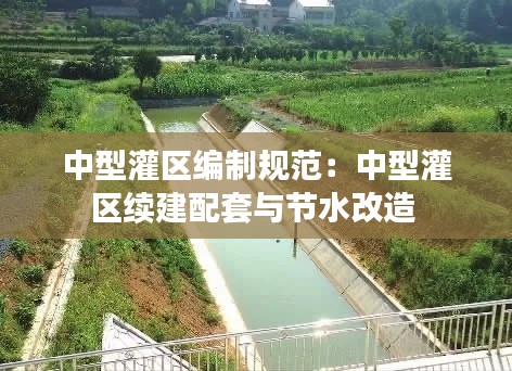 中型灌区编制规范：中型灌区续建配套与节水改造 