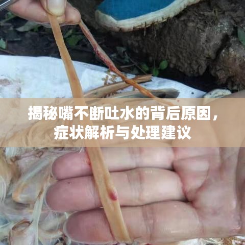 揭秘嘴不断吐水的背后原因，症状解析与处理建议