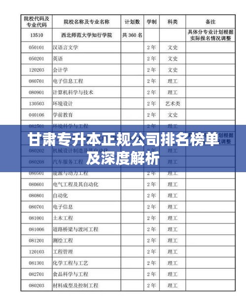 甘肃专升本正规公司排名榜单及深度解析