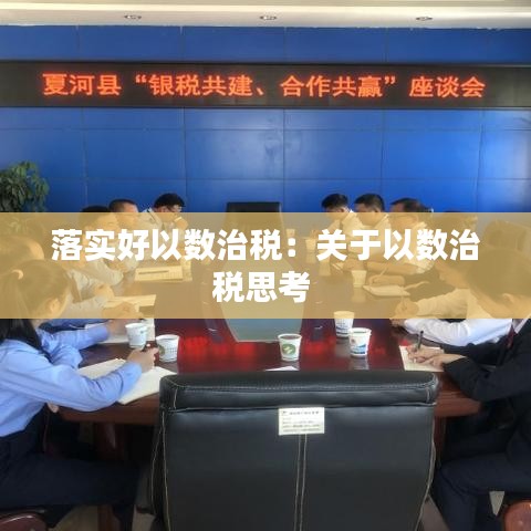 落实好以数治税：关于以数治税思考 