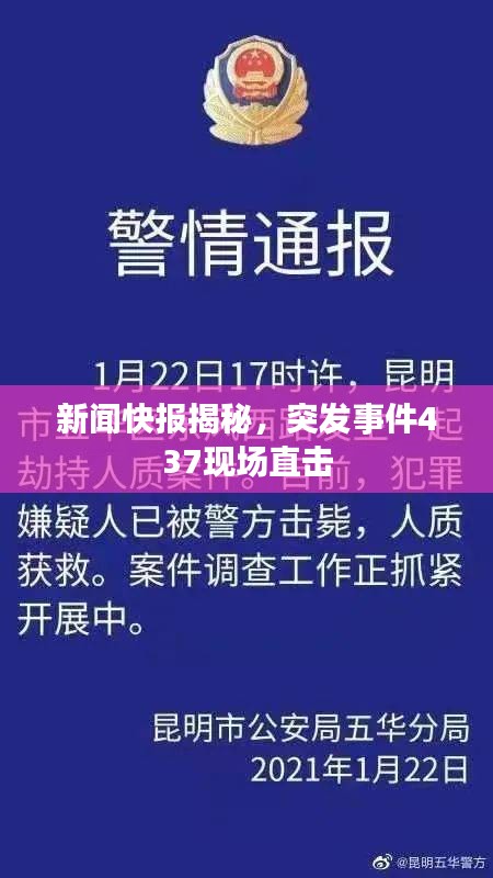 新闻快报揭秘，突发事件437现场直击