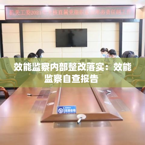 效能监察内部整改落实：效能监察自查报告 