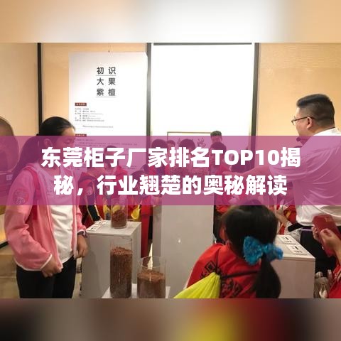 东莞柜子厂家排名TOP10揭秘，行业翘楚的奥秘解读