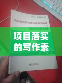 项目落实的写作素材：项目落实计划 