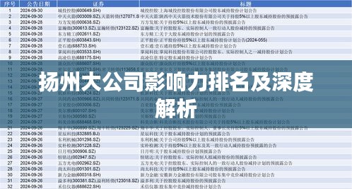 扬州大公司影响力排名及深度解析