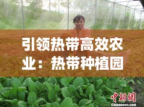 引领热带高效农业：热带种植园农业专业化程度高 