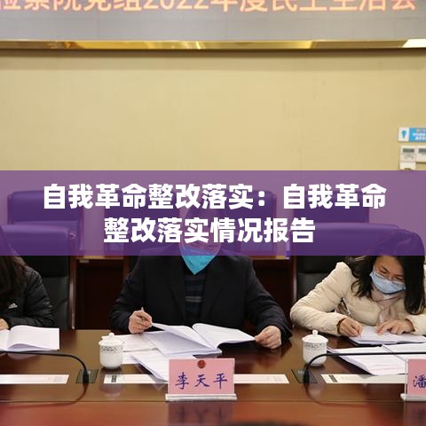 自我革命整改落实：自我革命整改落实情况报告 