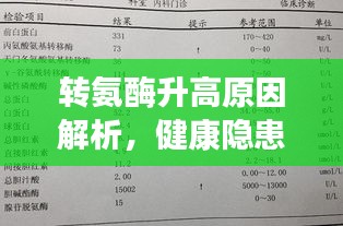 转氨酶升高原因解析，健康隐患一网打尽！