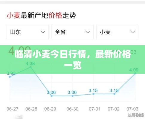 临清小麦今日行情，最新价格一览