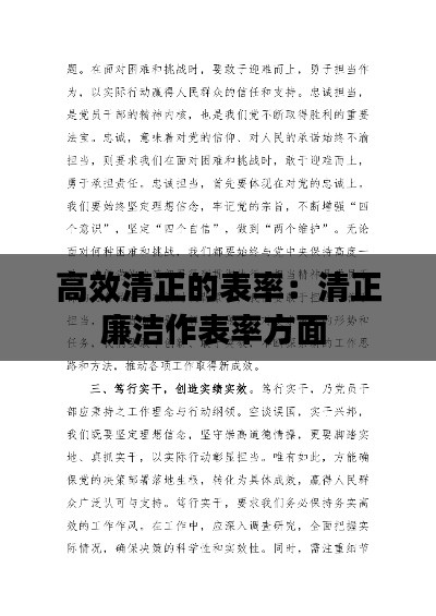 高效清正的表率：清正廉洁作表率方面 