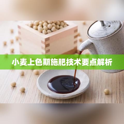 小麦上色期施肥技术要点解析