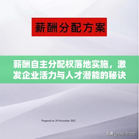 薪酬自主分配权落地实施，激发企业活力与人才潜能的秘诀