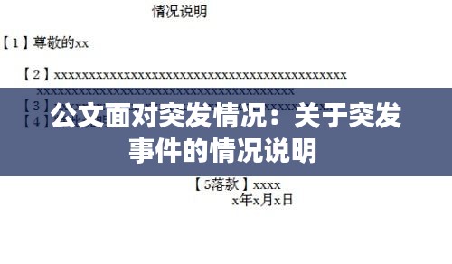 公文面对突发情况：关于突发事件的情况说明 