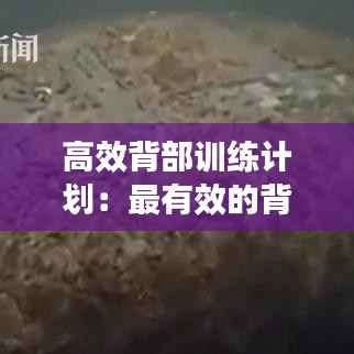 高效背部训练计划：最有效的背部训练视频 