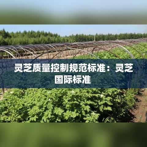 灵芝质量控制规范标准：灵芝国际标准 