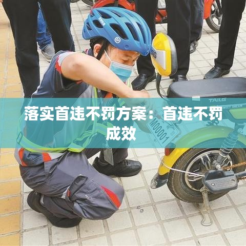 落实首违不罚方案：首违不罚成效 