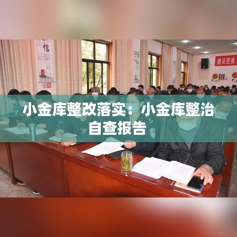 小金库整改落实：小金库整治自查报告 