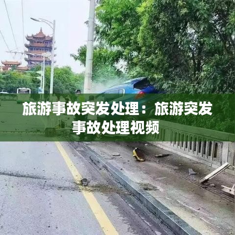 旅游事故突发处理：旅游突发事故处理视频 