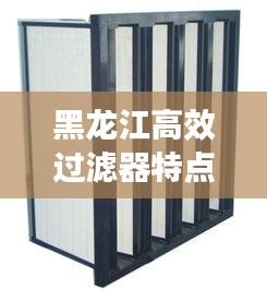 黑龙江高效过滤器特点：高效过滤器有哪些品牌 