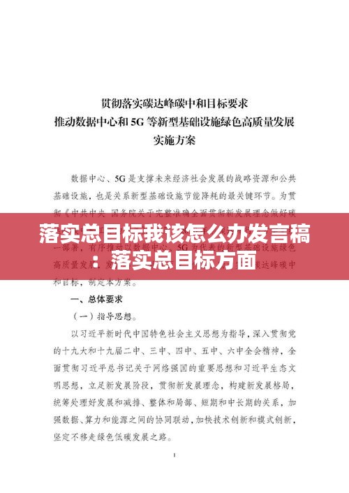 落实总目标我该怎么办发言稿：落实总目标方面 