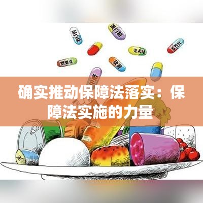 确实推动保障法落实：保障法实施的力量 