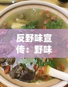 反野味宣传：野味宣传语 