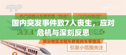 国内突发事件致7人丧生，应对危机与深刻反思