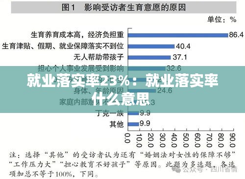 就业落实率23%：就业落实率什么意思 