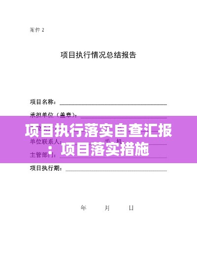 项目执行落实自查汇报：项目落实措施 