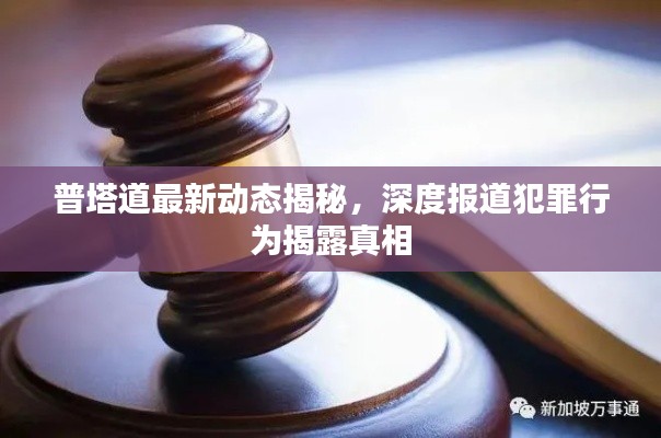 普塔道最新动态揭秘，深度报道犯罪行为揭露真相