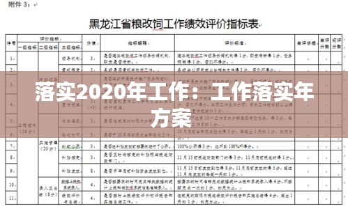 落实2020年工作：工作落实年方案 