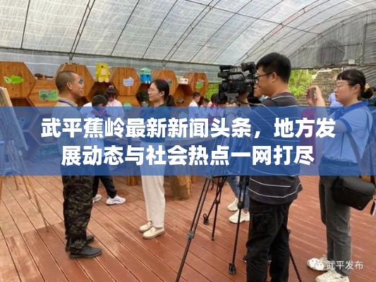 武平蕉岭最新新闻头条，地方发展动态与社会热点一网打尽