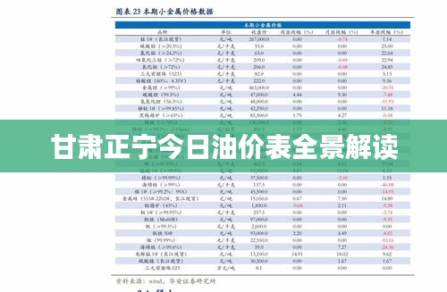 甘肃正宁今日油价表全景解读